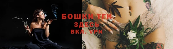 ALPHA PVP Богородицк