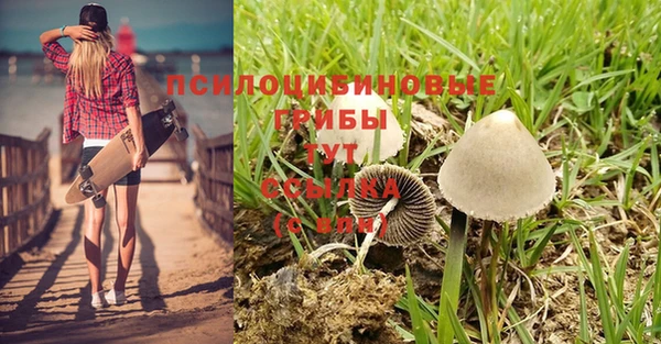 mix Богородск