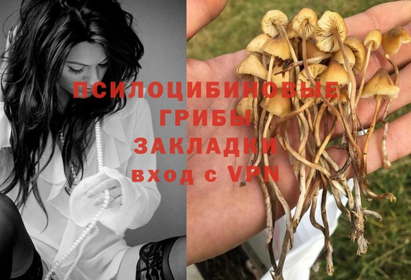 mix Богородск